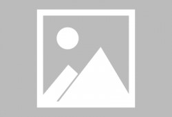 85花最新爆料是谁,神秘人物引发热议，真相即将揭晓！